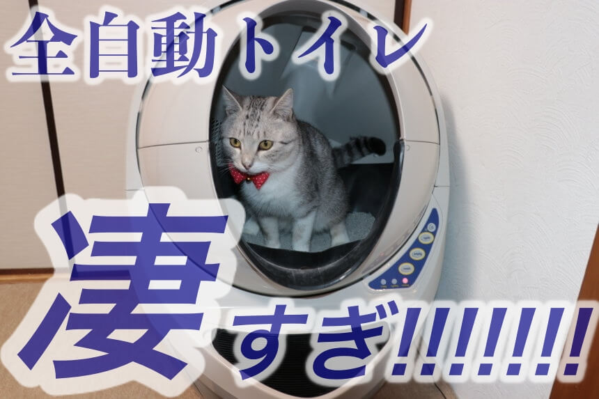 猫用自動トイレ bataan.gov.ph